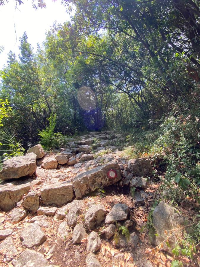 Apartamento Adria Sea & Mountains Herceg Novi Exterior foto